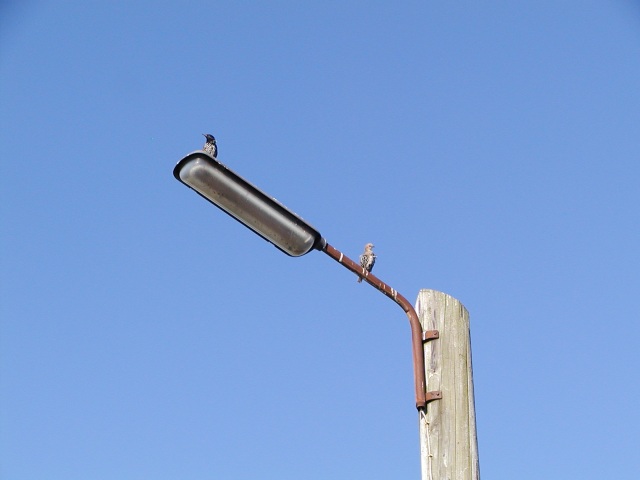 ../fotos/cappel-neufeld_2012/2012-08-18_18-48-23.jpg