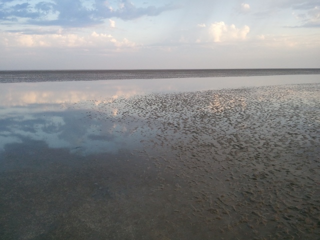 ../fotos/cappel-neufeld_2012/2012-08-19_06-47-29.jpg