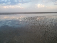 2012-08-19_06-47-29.jpg