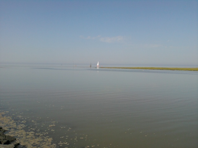 ../fotos/cappel-neufeld_2012/2012-08-19_13-42-29.jpg