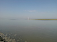 2012-08-19_13-42-29.jpg