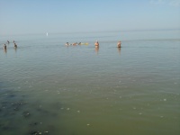 2012-08-19_13-47-25.jpg