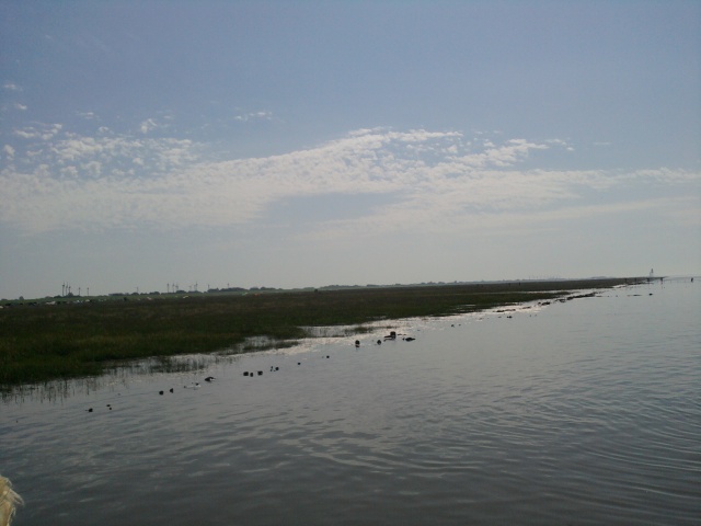 ../fotos/cappel-neufeld_2012/2012-08-19_13-47-40.jpg