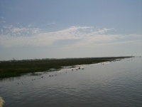 2012-08-19_13-47-40.jpg