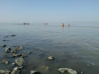 2012-08-19_13-50-02.jpg