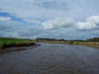 2009-09-12_35.jpg