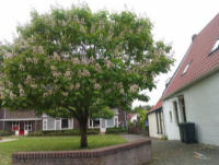 2011-07-14_18-26-11.jpg