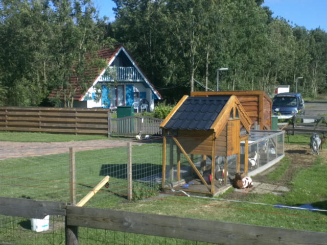 ../fotos/steendam_2011/2011-07-15_17-57-25.jpg