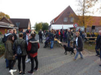 2015-10-25_15.47.23.jpg