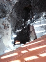 2013-08-14_10-59-57.jpg
